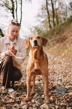 ������ ���� ���������� ������ - ���� 1 � ����������