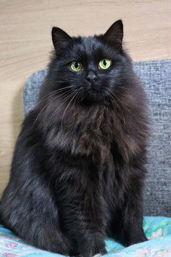 ��������� ���� ���� ������� ����� - ���� 1 � ����������