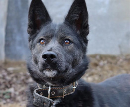 ��������� �������� � ����� ������ ������ - ���� 1 � ����������