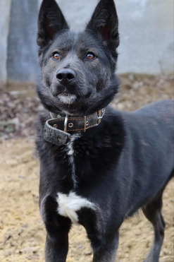 ��������� �������� � ����� ������ ������ - ���� 1 � ����������