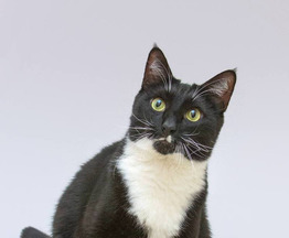 ��� ������� ���� ���� �����. - ���� 1 � ����������