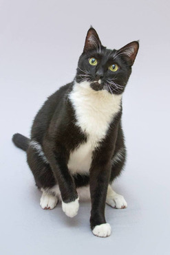 ��� ������� ���� ���� �����. - ���� 1 � ����������