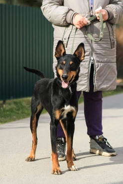 �����, ����� �������, � ������ ���� - ���� 1 � ����������