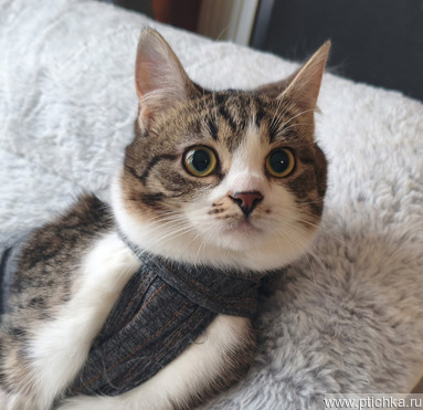 ���� �������� ������������ �������� ������� � ������ ����� � ���� - ���� 1 � ����������