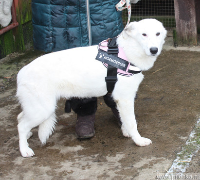 �������� , ����������� ������� ��� ���� ���� ������ �����! - ���� 1 � ����������