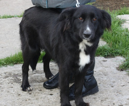 ����������� ��������� ������ ���� ���� ������ ����� - ���� 1 � ����������