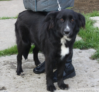 ����������� ��������� ������ ���� ���� ������ ����� - ���� 1 � ����������