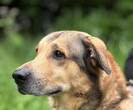 ����� ����� ���� ���� ����� - ���� 1 � ����������