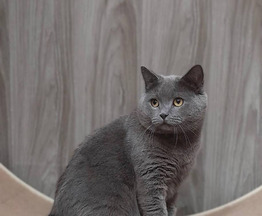 �������������� �������� ������ ���� ��� � ������� ������! - ���� 1 � ����������