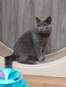 �������������� �������� ������ ���� ��� � ������� ������! - ���� 1 � ����������