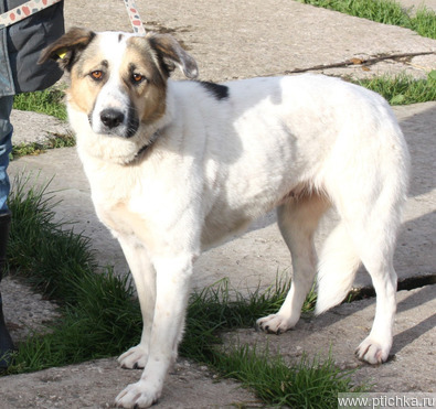 �������, ������ ������ ������ � ������ ������� ����� - ���� 1 � ����������