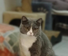 ������, 4 ���� ������������ ���� � ��������� �������. - ���� 1 � ����������