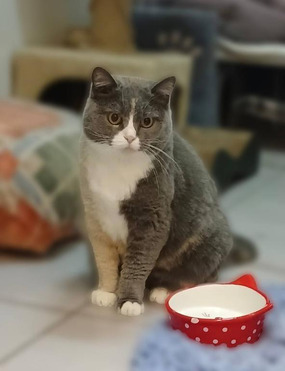 ������, 4 ���� ������������ ���� � ��������� �������. - ���� 1 � ����������