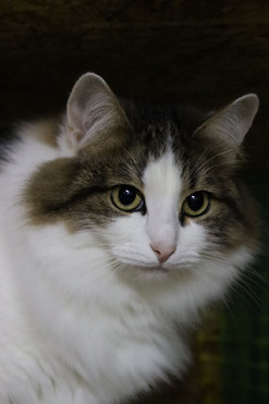 ������� � ��� ����� � ������ ������ - ���� 1 � ����������