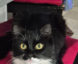 ����� �������� ����� ������� ������� - ���� 1 � ����������