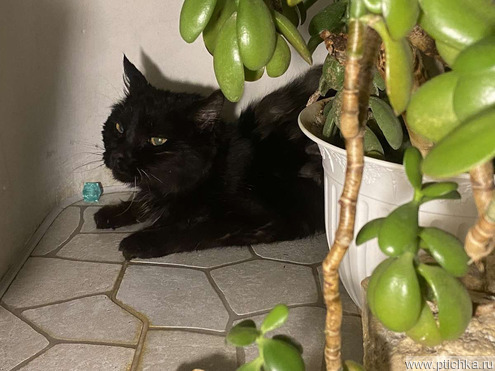 ����� ���� ���������� ������ - ���� 1 � ����������