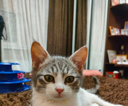 ���� �������� � ������� ����� - ���� 1 � ����������