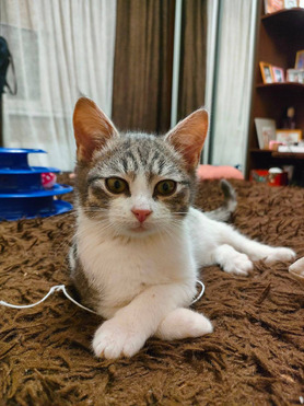 ���� �������� � ������� ����� - ���� 1 � ����������