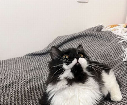 ����� ���� ���������� ������ - ���� 1 � ����������