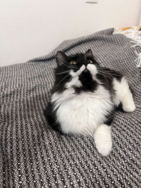 ����� ���� ���������� ������ - ���� 1 � ����������