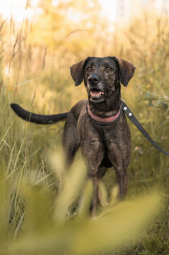 ������ ���� ���������� ������ - ���� 1 � ����������