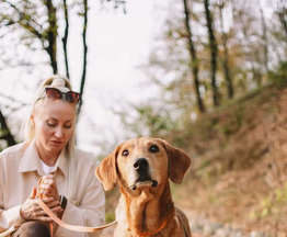 ������ ���� ���������� ������ - ���� 1 � ����������