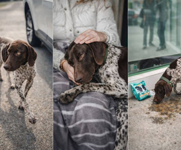 ���� ��� ������ � ��������� ������� ���� - ����������  � ����������