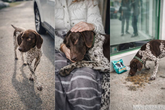 ���� ��� ������ � ��������� ������� ���� - ����������  � ����������