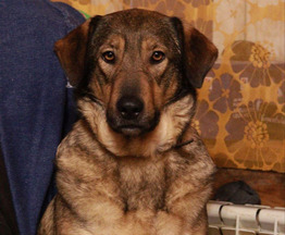 ���� ���� ����� ������ ������ - ���� 1 � ����������