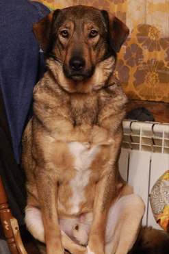 ���� ���� ����� ������ ������ - ���� 1 � ����������