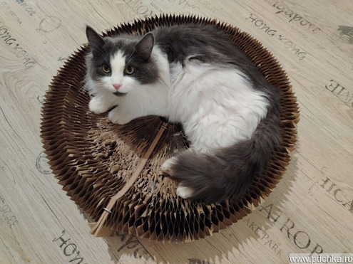 �������� �������� ����� ���� ���� ���! - ���� 1 � ����������