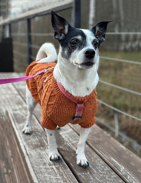 ������ ���� ���������� ������ - ���� 1 � ����������