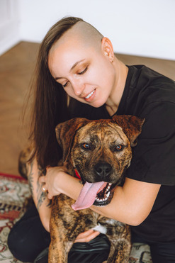 ����� (��������� �������) ���� ���������� ������ - ���� 1 � ����������