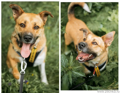 ����������� ���-��������� ��� ���� ���! - ���� 1 � ����������