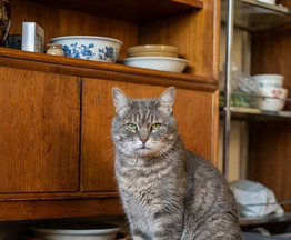 �������������� ����������� ������� ����� ��� �� ����� ����. - ���� 1 � ����������