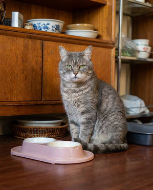 �������������� ����������� ������� ����� ��� �� ����� ����. - ���� 1 � ����������