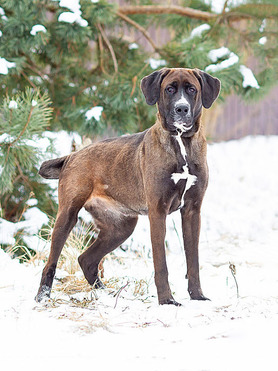 ������ ���� ���������� ������ - ���� 1 � ����������