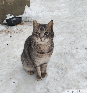 ����� ������� � ������ ���� - ���� 1 � ����������