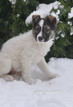 ���� ������������� �������� ���� ���. - ���� 1 � ����������