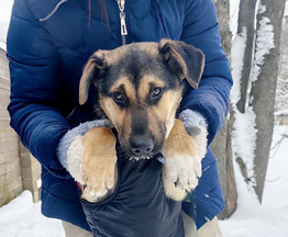 �������� ������� ����� ������ ���� ���������� ������ - ���� 1 � ����������