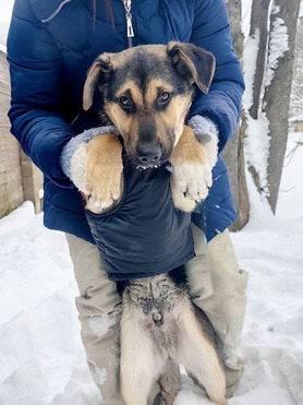 �������� ������� ����� ������ ���� ���������� ������ - ���� 1 � ����������