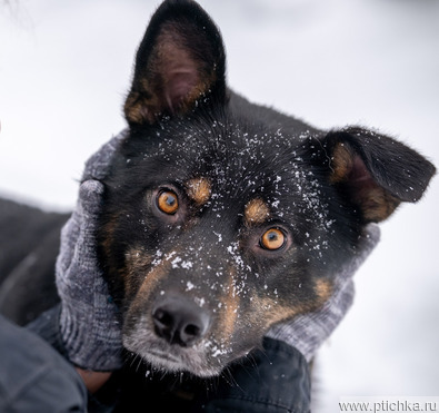 ���� ��� �������� ���! - ���� 1 � ����������