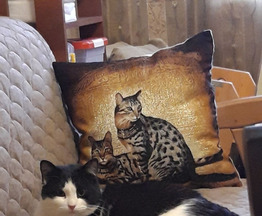 ����� ������ � ������ ���� - ���� 1 � ����������