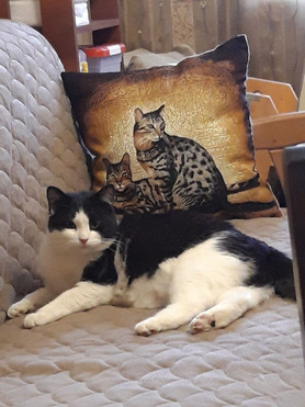 ����� ������ � ������ ���� - ���� 1 � ����������