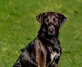 �������� ������� ��������� ���� ���. - ���� 1 � ����������