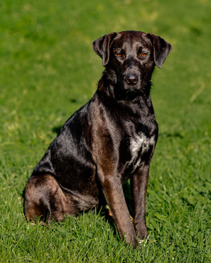 �������� ������� ��������� ���� ���. - ���� 1 � ����������