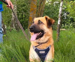 ������ ���� ���������� ������ - ���� 1 � ����������