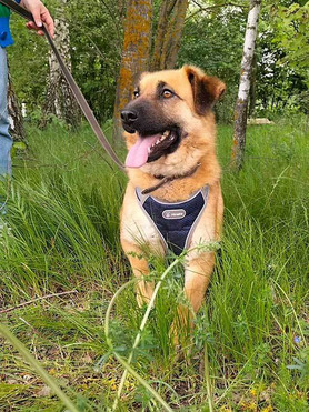 ������ ���� ���������� ������ - ���� 1 � ����������