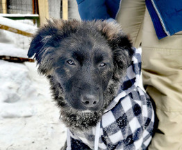 ����� �������� ������� ���� ���������� ������ - ���� 1 � ����������