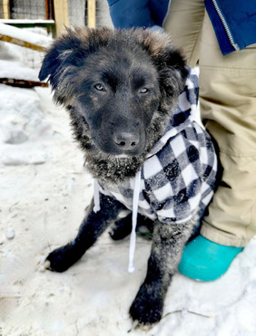 ����� �������� ������� ���� ���������� ������ - ���� 1 � ����������